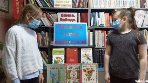 «За цветами в зимний лес…»