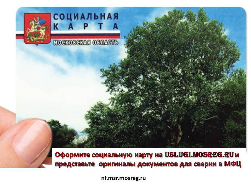 скмо