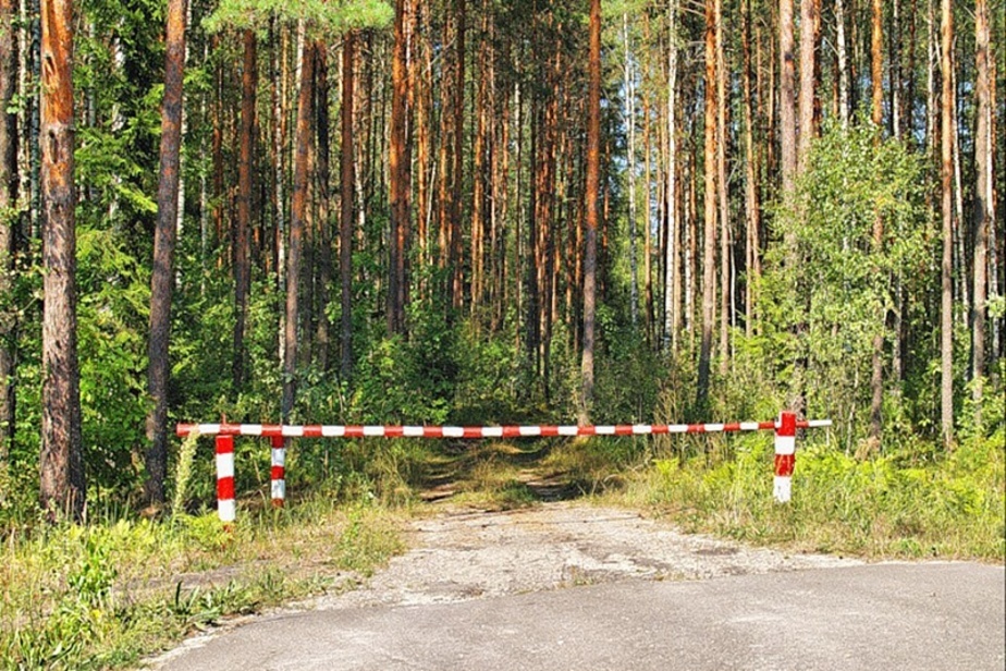 лес-2
