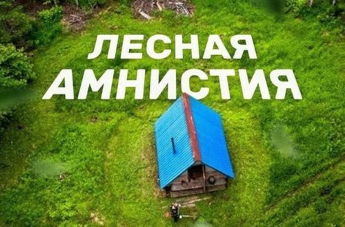 амни