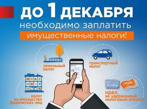 срок уплаты имущ налогов НДФЛ до 01_12_2021
