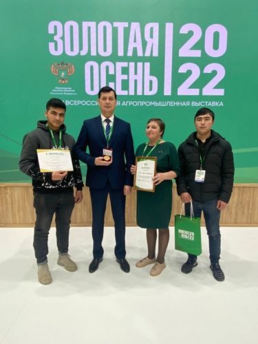 золотая осень